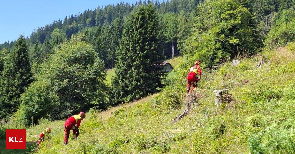 Almputztag-Wie-viel-M-ll-in-der-steirischen-Natur-herumliegt