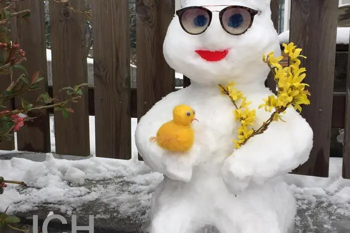 Für einen Schneemann hat der Schnee im heurigen Winter nicht gereicht, ein Schneehase ist sich bei Geli Neumann aus  aber ausgegangen. Mit cooler Sonnenbrille blickt der Hase trotz Corona sehr optimistisch in die Zukunft.
