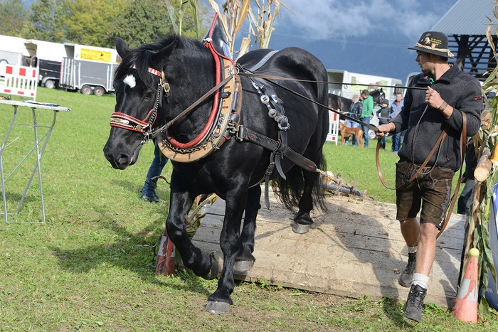 Andreas Steindl auf dem Parcour