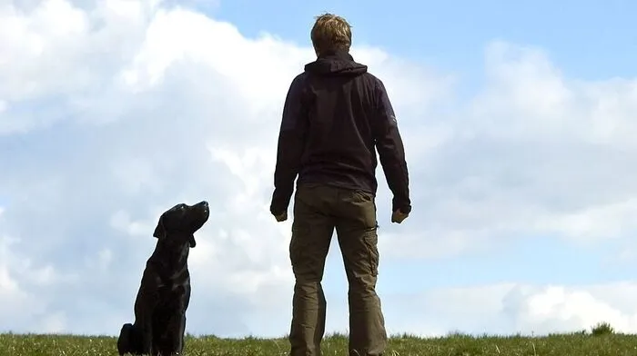 Der Hundehalter wurde angezeigt (Sujetbild)