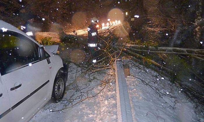 Ein Auto war gegen den umgestürzten Baum geprallt