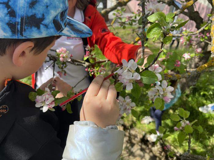 Mit Pinsel und Pollen geht es ans Bestäuben der Blüten