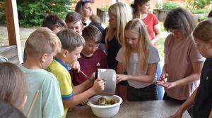 Die Schülerinnen und Schüler der Neuen Mittelschule Pöllau lernten im Freien
