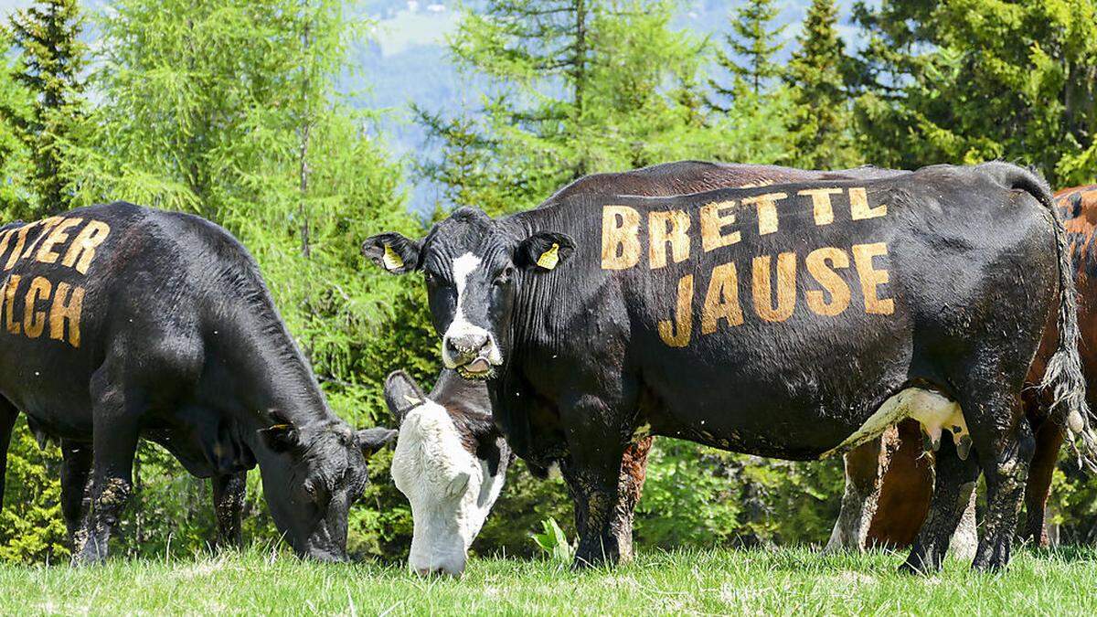 In großen Buchstaben stehen die Speisen auf den Kühen