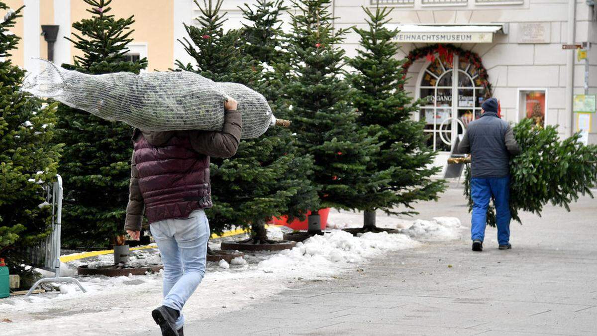 Wer hat die Christbäume gestohlen? (Sujetfoto)