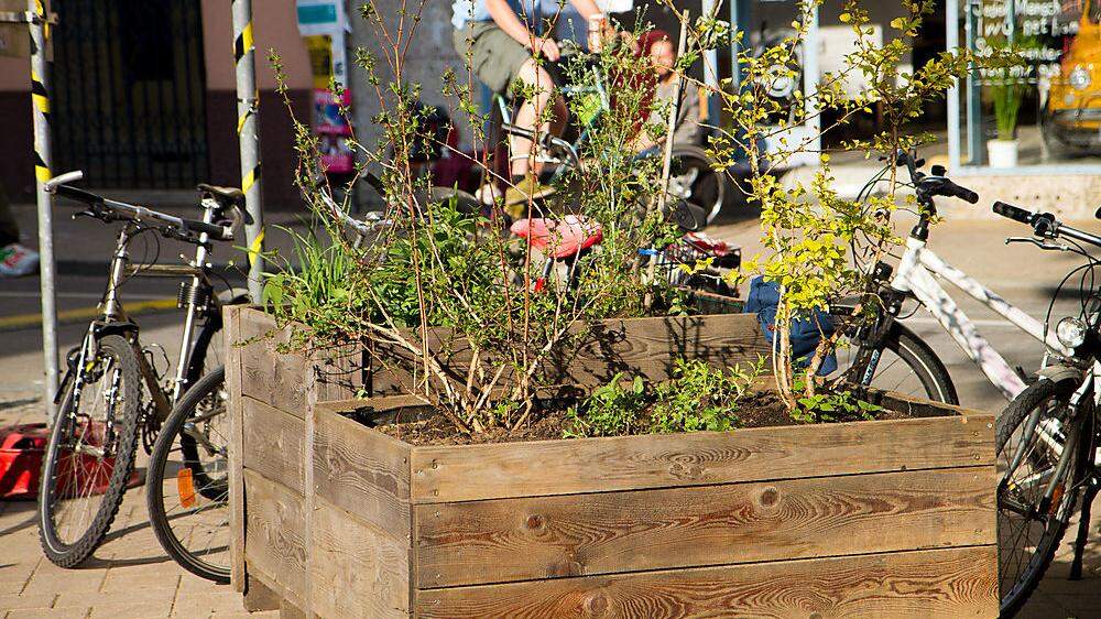 Zeit für Urban-Gardening: So wie hier im mobilen Holzbeet