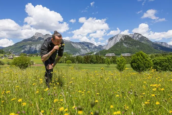 Am besten werden die Kräuter und Gräser von ausgesuchten Heuwiesen selber gesammelt und getrocknet.