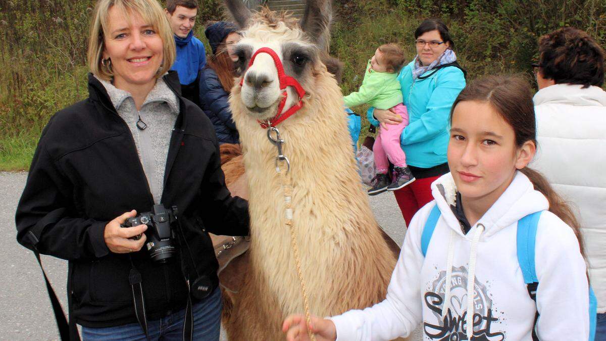 Auch die Södingtallamas werden beim Adventzauber in Aichegg für leuchtende Augen sorgen