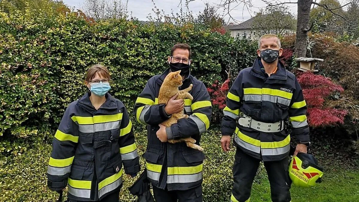 Insgesamt 119 Menschen- und 79 Tierrettungen verzeichnete der BFV Leibnitz letzten Jahres