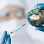 Pandemic concept, close up of scientist injecitng vaccine into the earth
