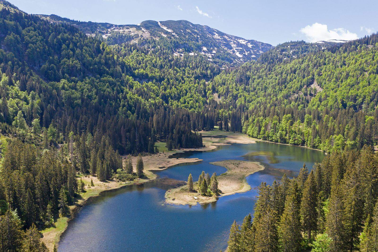 Der Obersee wird von dichtem Bergwald eingerahmt. Nur an wenigen Stellen gelangt man zum Wasser 