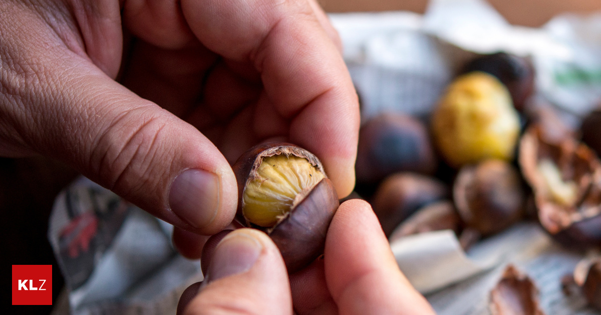 Unbescholtener-Steirer-Verurteilt-f-r-den-Raub-einer-einzigen-Maroni