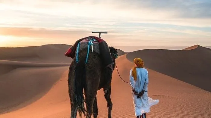 Ein perfektes Herbstreiseziel ist Marokko: Hier ist der heiße Sommer vorbei, aber es ist auch noch nicht zu kalt. Das Land hat viel zu bieten - vom Stadtbesuch in Marrakesch, über das Wandern im Atlasgebirge und Baden und Surfen am Meer bei Agadir bis zum Wüstentrip.