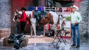 Der Weizer Egon Wolf ist am Dienstagabend bei „2 Minuten 2 Millionen“ zu sehen – gemeinsam mit Pferd Olaf