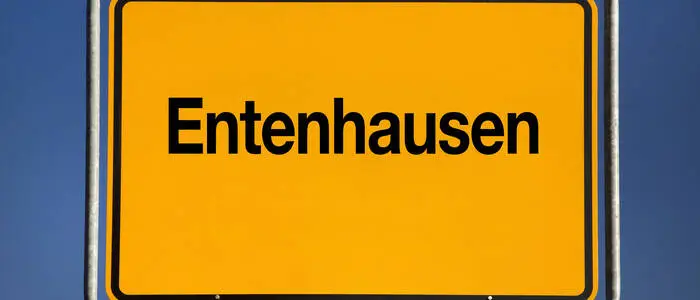 Entenhausen ist die von Erika Fuchs erfundene Entsprechung zu Duckburg und Mouseton
