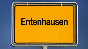 Entenhausen ist die von Erika Fuchs erfundene Entsprechung zu Duckburg und Mouseton