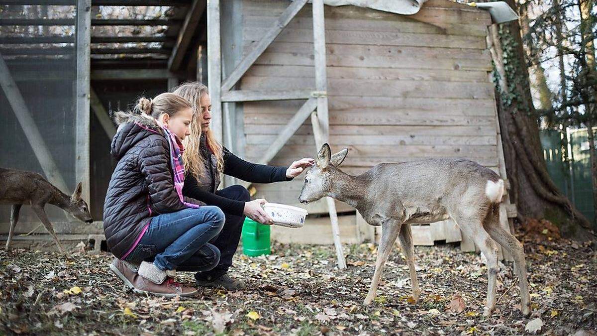 Bis zu 5000 Tiere betreut der Verein pro Jahr 