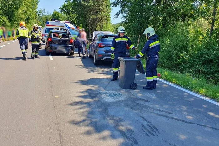 Elf Kameradinnen und Kameraden der Feuerwehr Nitscha waren im Einsatz. Sie kamen direkt vom Frühschoppen, den sie selbst veranstalteten.