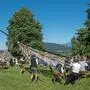 Die 14,5 Meter hohe Pestkerze wird mithilfe von Stangen aufgestellt. Heuer können Interessierte das Brauchtum am 29. Juni erleben