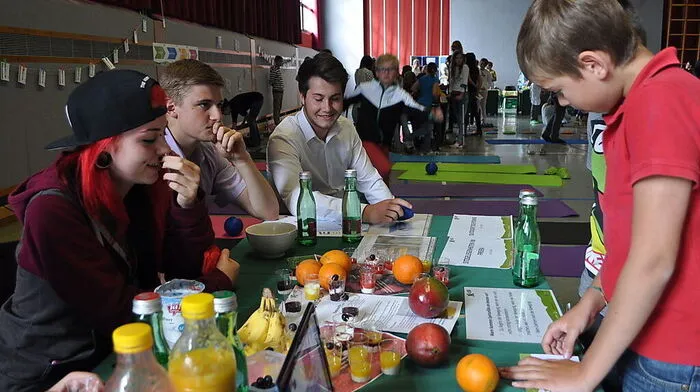 In der Obersteiermark wurde das Projekt bereits erfolgreich durchgeführt