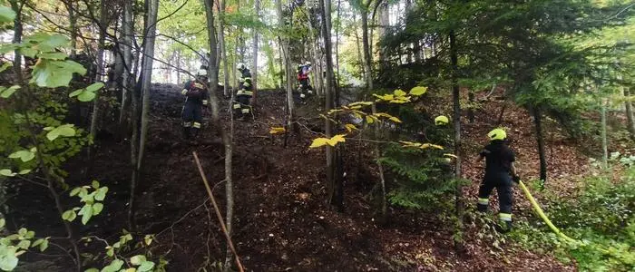 Auf einem Waldstück in Baierdorf war es zu großer Rauchentwicklung gekommen