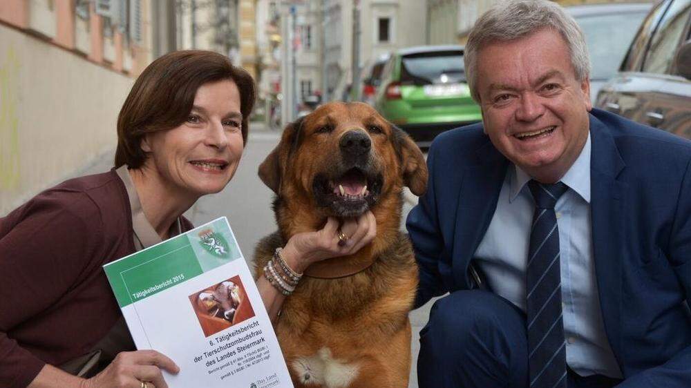Präsentierten die steirische Tierschutzbilanz: Barbara Fiala-Köck und Neo-Landesrat Anton Lang