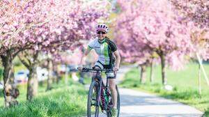 Radfahren wird den Kärnten-Urlaubern immer wichtiger
