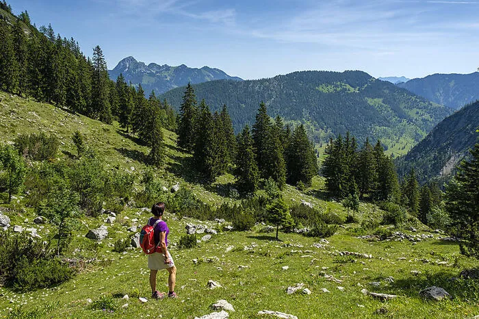 Ein Tipp ist die Wanderung von Simbach am anderen Flussufer von Braunau hinauf auf den Schellenberg, mit 550 Meter Seehöhe die höchste Erhebung Niederbayerns. Tolle Aussicht und schmackhafte Hausmannskost im Schellenberghaus, Oberkrainer Platte und Strauben unbedingt probieren! www.schellenberghaus.de