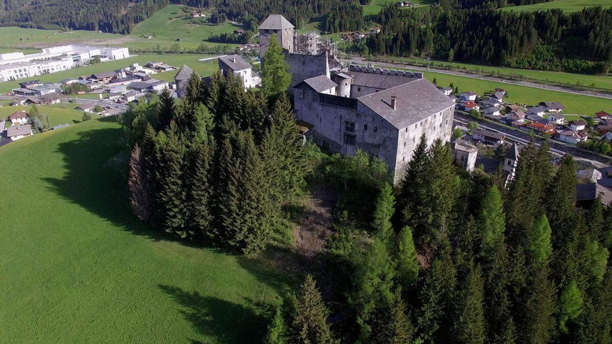 Der Wald im Norden der Burg soll wegkommen