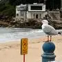 TOPSHOT - This picture shows a general view of Coogee Beach after authorities closed it down to the public in Sydney on October 16, 2024. Hundreds of mysterious black tar-like balls have washed up on a popular Sydney beach, prompting lifeguards to close the strand to swimmers. "Mysterious, black, ball-shaped debris" began appearing on Coogee Beach on October 15 in the afternoon the local mayor said, leaving flummoxed authorities scrambling to find out what they might be, and where they may have come from. (Photo by Saeed KHAN / AFP)