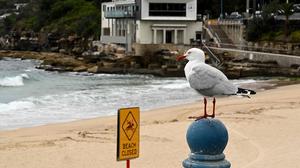 Der Coogee Beach ist einer der Strände von Sydney, der geschlossen wurde