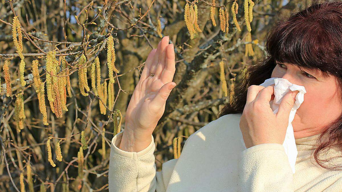 Menschen, die allergisch Pollen der Hasel oder der Erle reagieren, könnten an warmen Nachmittagen bereits unter Beschwerden leiden (Symbolfoto)