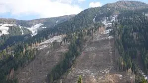 Berg mit großen kahlgeschlägerten Flächen im Fichtenwald
