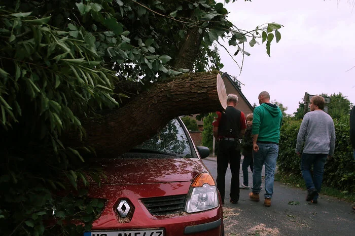 Ein Auto wurde im Raum Viersen am Niederrhein unter einem Baum begraben