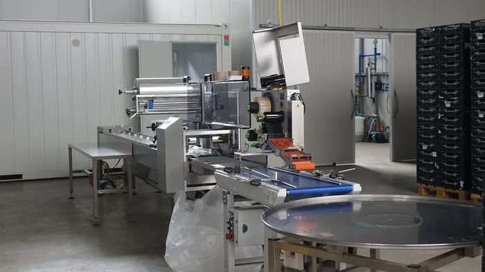Die Familie Rauer produziert in ihrem Betrieb 20 Sorten Bio-Sprossen und Keimlinge...