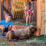 Tiere streicheln steht am Hauser Kaibling an erster Stelle. 