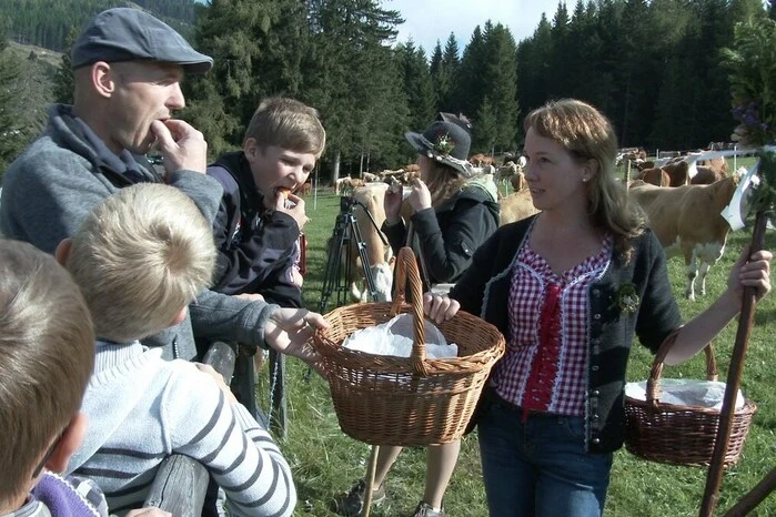 Der traditionelle Almabtrieb am Hochegg in Schönberg–Lachtal wird vom örtlichen Musikverein organisiert.