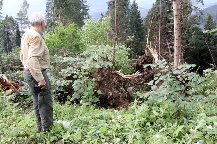 Massivst betroffen ist der Hof vulgo Aicher-Badstuber auf 900 Metern Seehöhe. „Wir werden ungefähr 2000 Festmeter Schadholz haben“, sagte der Besitzer, Matthias Müller senior (Foto) zur Kleinen Zeitung. 
