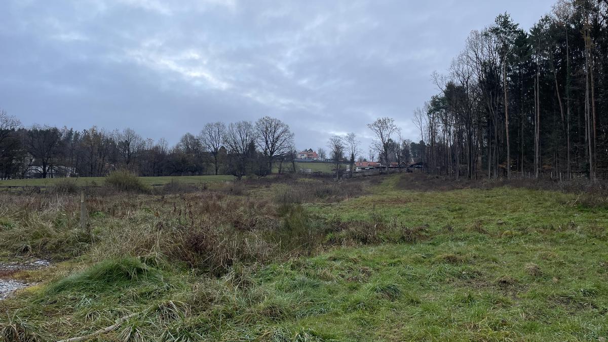 So sieht es aktuell auf dem Grundstück aus, gebaut werden soll 2025