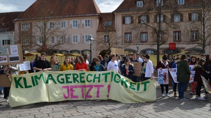 Schüler auf der ganzen Welt protestieren derzeit wöchentlich gegen den Klimawandel.