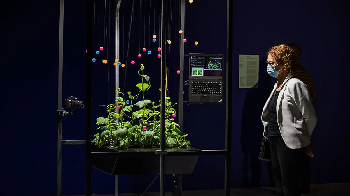 Ein Besuch der Ars Electronica geht nie ohne Staunen und Erkenntnisgewinne über die Bühne