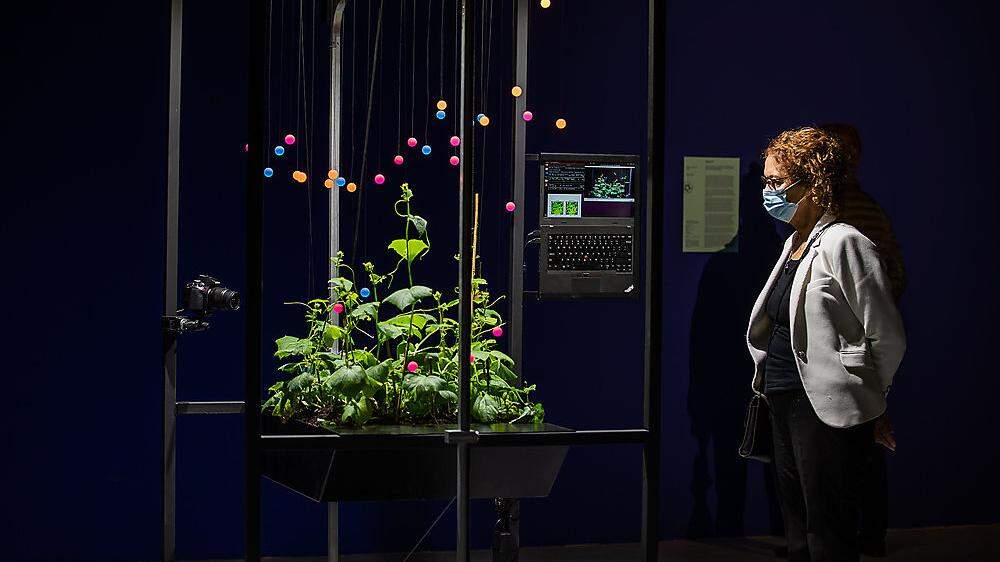 Ein Besuch der Ars Electronica geht nie ohne Staunen und Erkenntnisgewinne über die Bühne