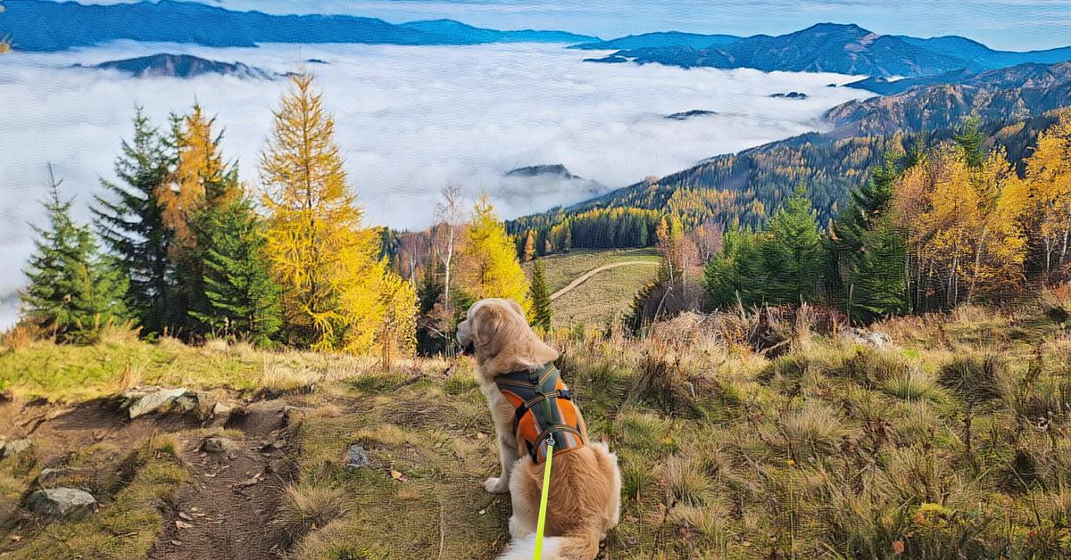 Fotos-Fotos-Fotos-Der-Bezirk-Leoben-durch-die-Linse-unserer-Leserinnen-und-Leser