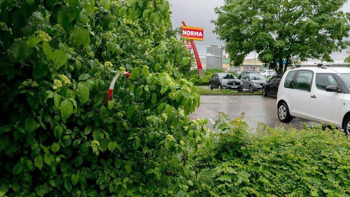 Tote Frau neben Parkplatz gefunden 