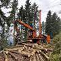 Die Aufarbeitung der großen Schadholzmengen durch Sturm und Borkenkäfer ist aufwendig und für Waldbauern oft ein notwendiges Verlustgeschäft