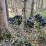 In einem Wald liegen schwarze Autoreifen
