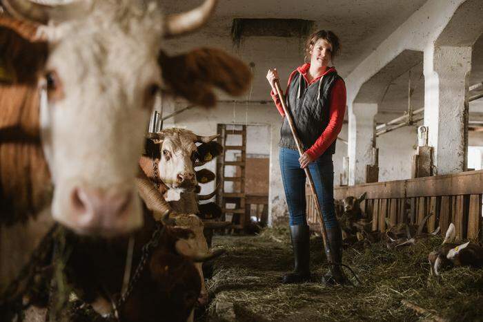 Die Ziegen und Kühe am Biohof Ebner werden ausschließlich mit Heu und Getreide aus biologischem Anbau gefüttert.
