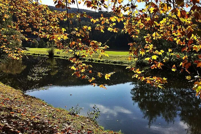 Lisa Ehrenhofer aus Jennersdorf hat uns dieses wunderschöne Foto vom Stubenbergsee geschickt.