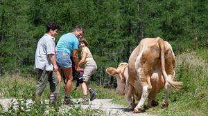 In beliebten Osttiroler Ausflugsdestinationen treffen Wanderer auf Tiere