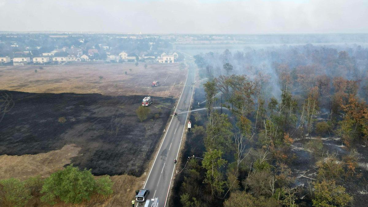 Die Flammen breiteten sich in Richtung einer Siedlung im Bereich Gänserndorf-Süd aus, konnten aber unter Kontrolle gebracht werden.